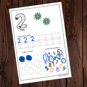 1-9 Number Activity Downloadable Printable Worksheet