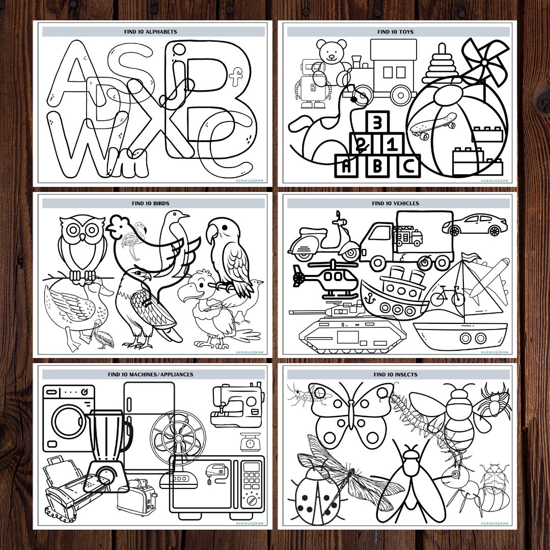 Find things printable worksheet - Image 2