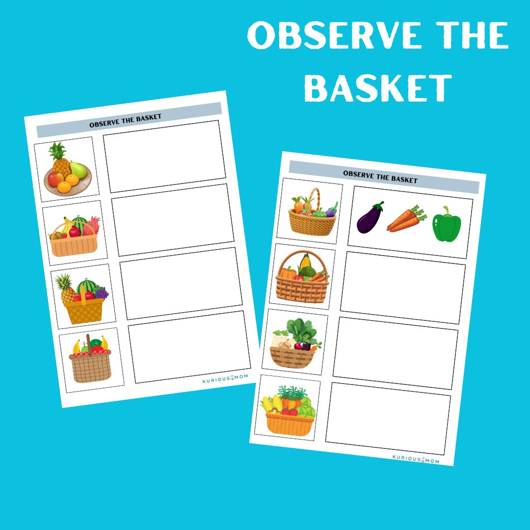 Observe the Basket Activity worksheet