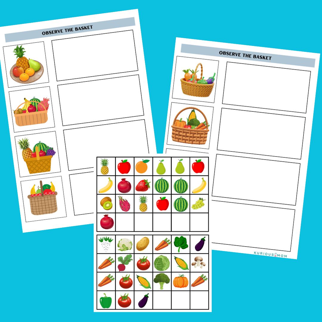 Observe the Basket Activity worksheet - Image 2