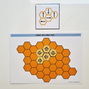 Honey bee direction KMACT056