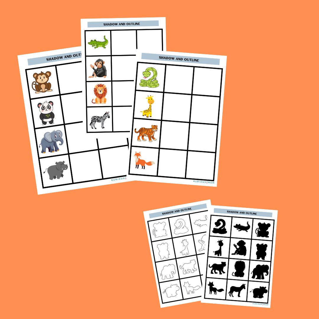 Animals shadow and outline printable worksheet - Image 2