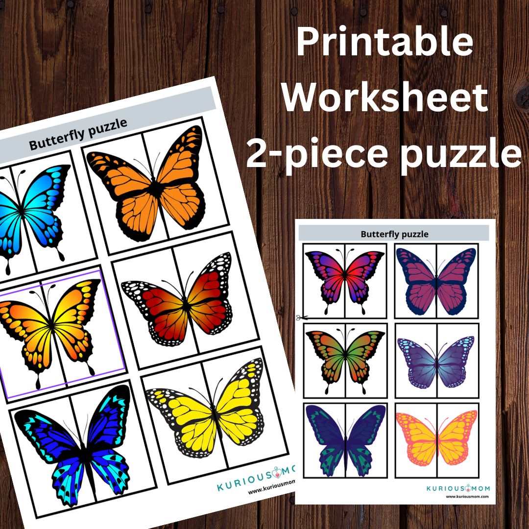 Butterfly 2 piece puzzle printable worksheet
