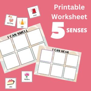 Five Senses Sorting Activity worksheet