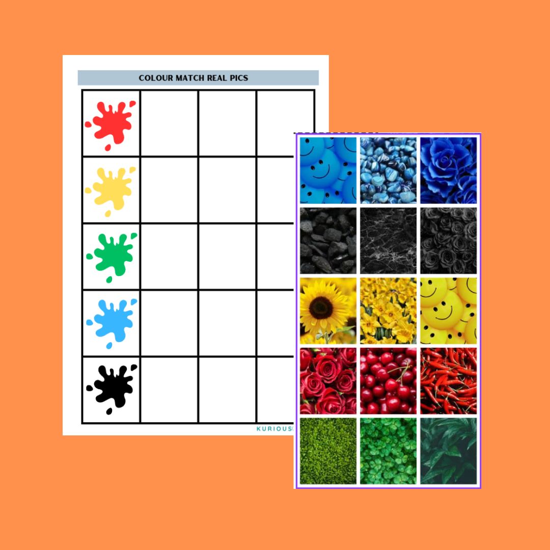 Colour match real pics printable worksheet - Image 2