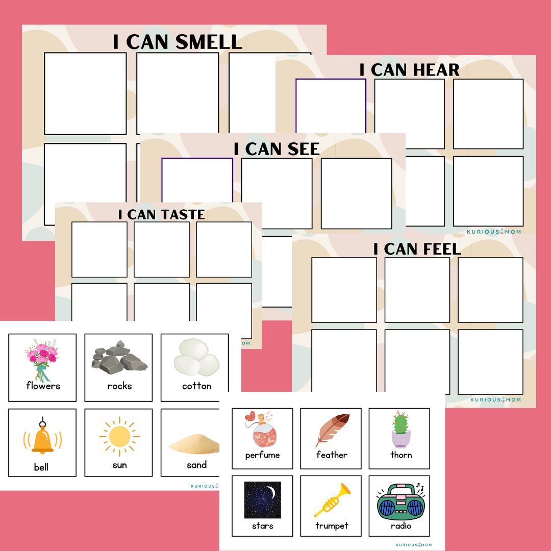 Five Senses Sorting Activity worksheet - Image 2