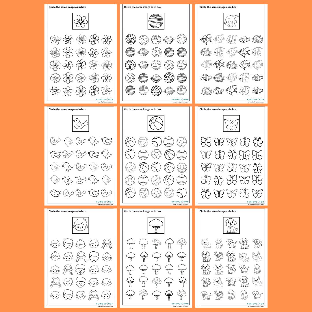 Find and Circle printable worksheet - Image 2