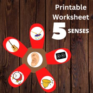 5 senses flower printable worksheet