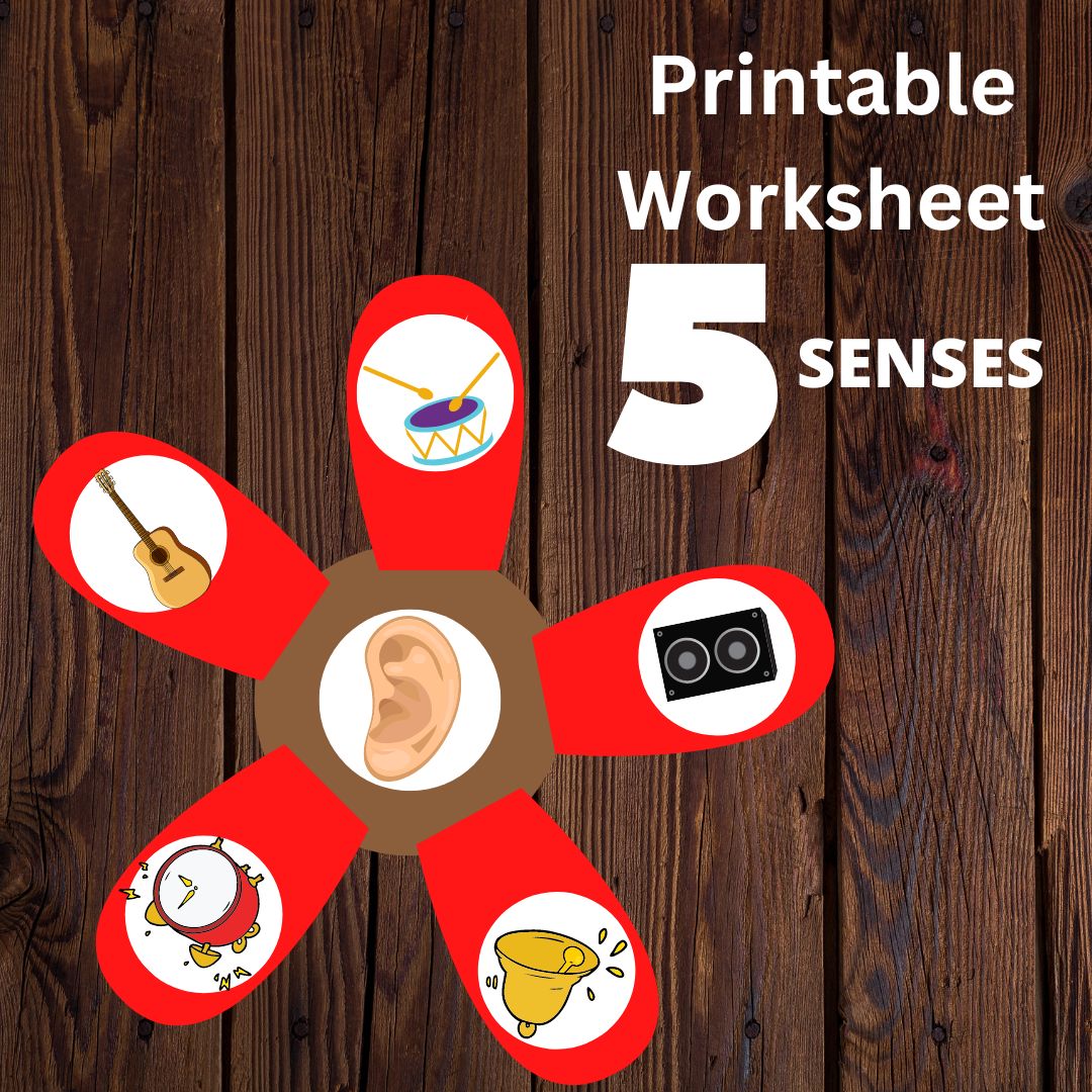 5 senses flower printable worksheet
