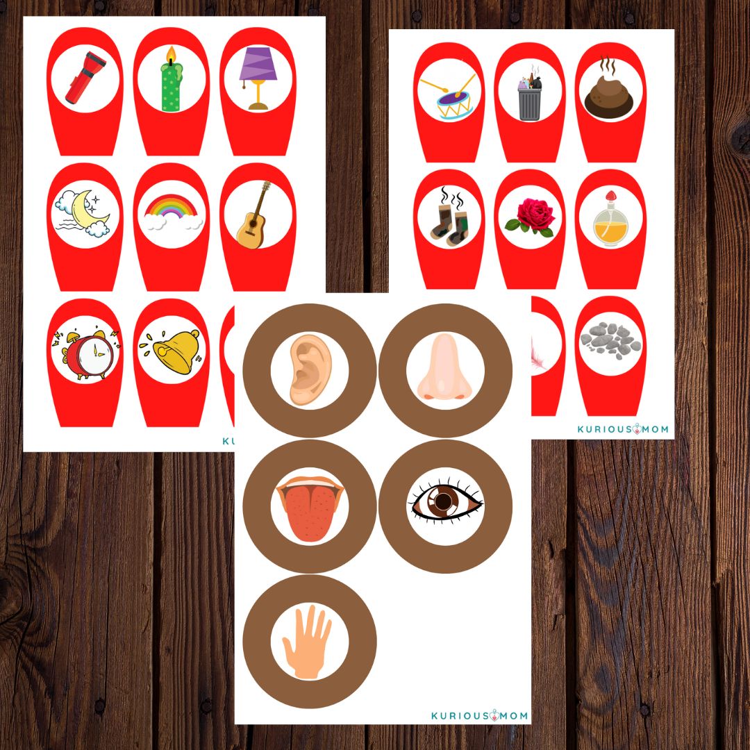5 senses flower printable worksheet - Image 2