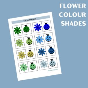 Flower and ladybug colour shades printable worksheet