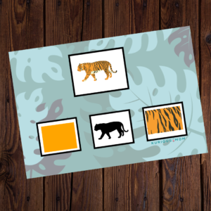 Animal Features Activity Kit KMACT010