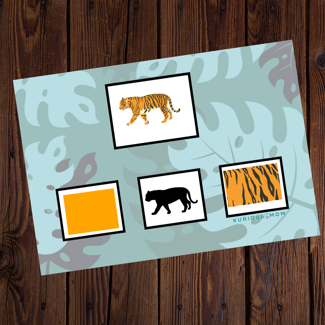 Combo 1 activity kit for 2-3yr - Image 6