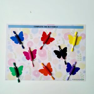 Complete the butterfly Activity KMACT061