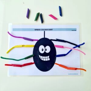 Spider colour sort Activity KMACT068